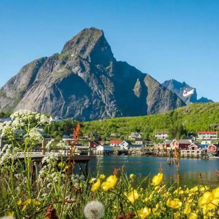 Madelhea Cabin- Seaview Lodge Reine Ngoại thất bức ảnh