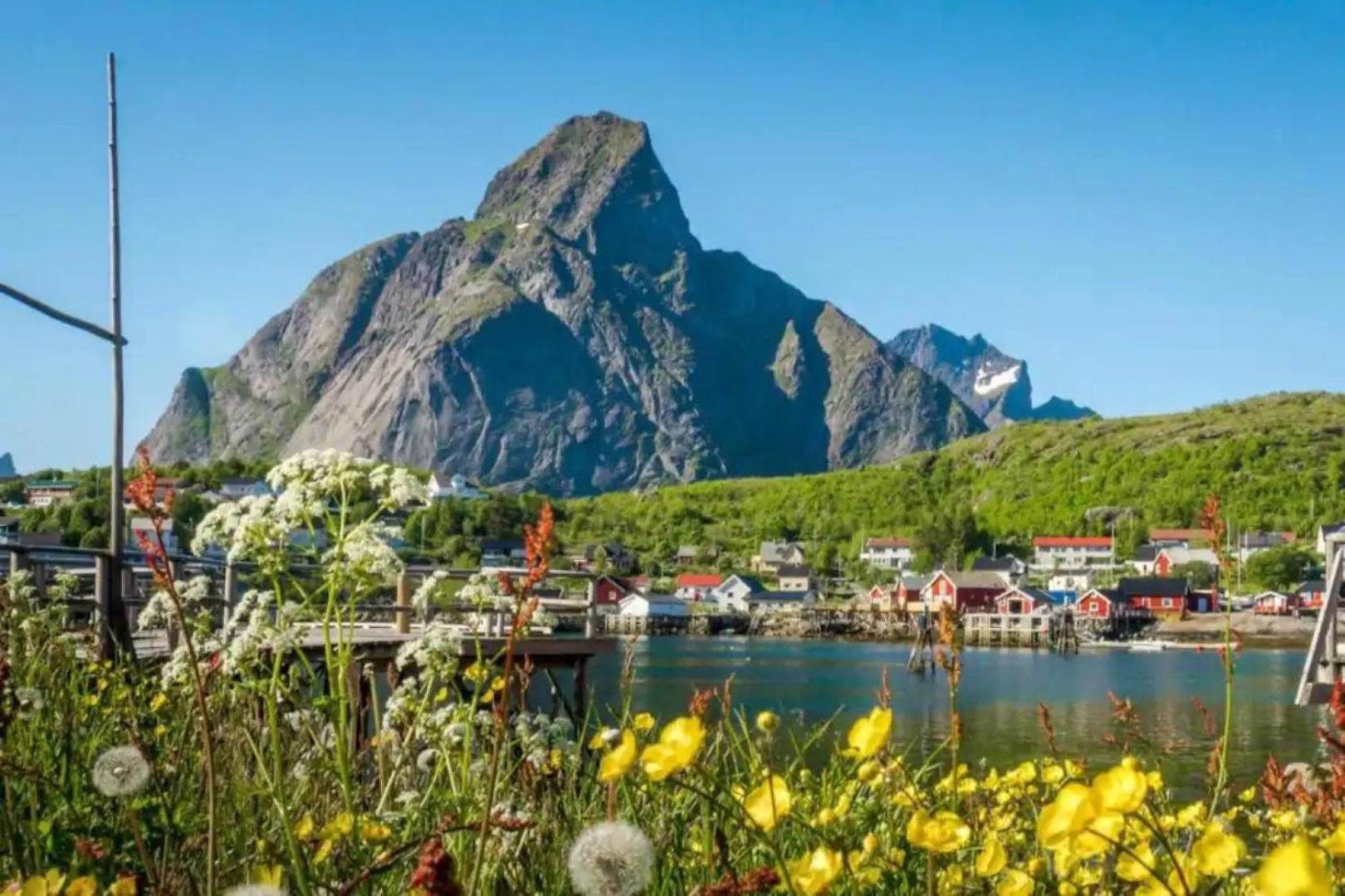 Madelhea Cabin- Seaview Lodge Reine Ngoại thất bức ảnh
